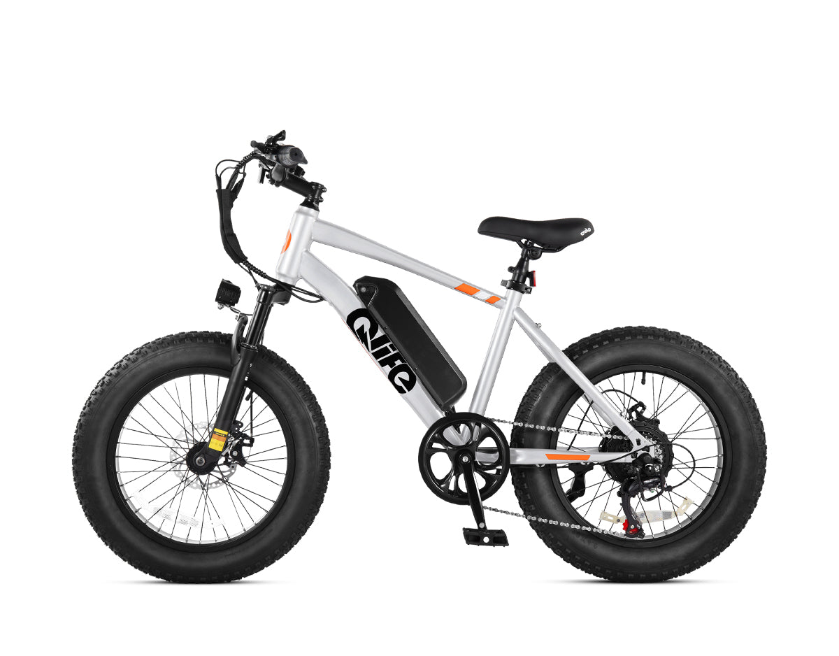 Racer 20x4.0'' Fat Tire Electric Bike For Adults