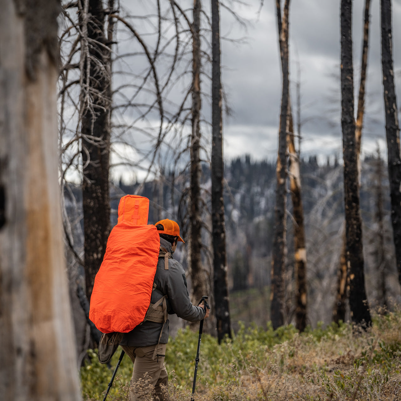 Large Reversible Rain Cover