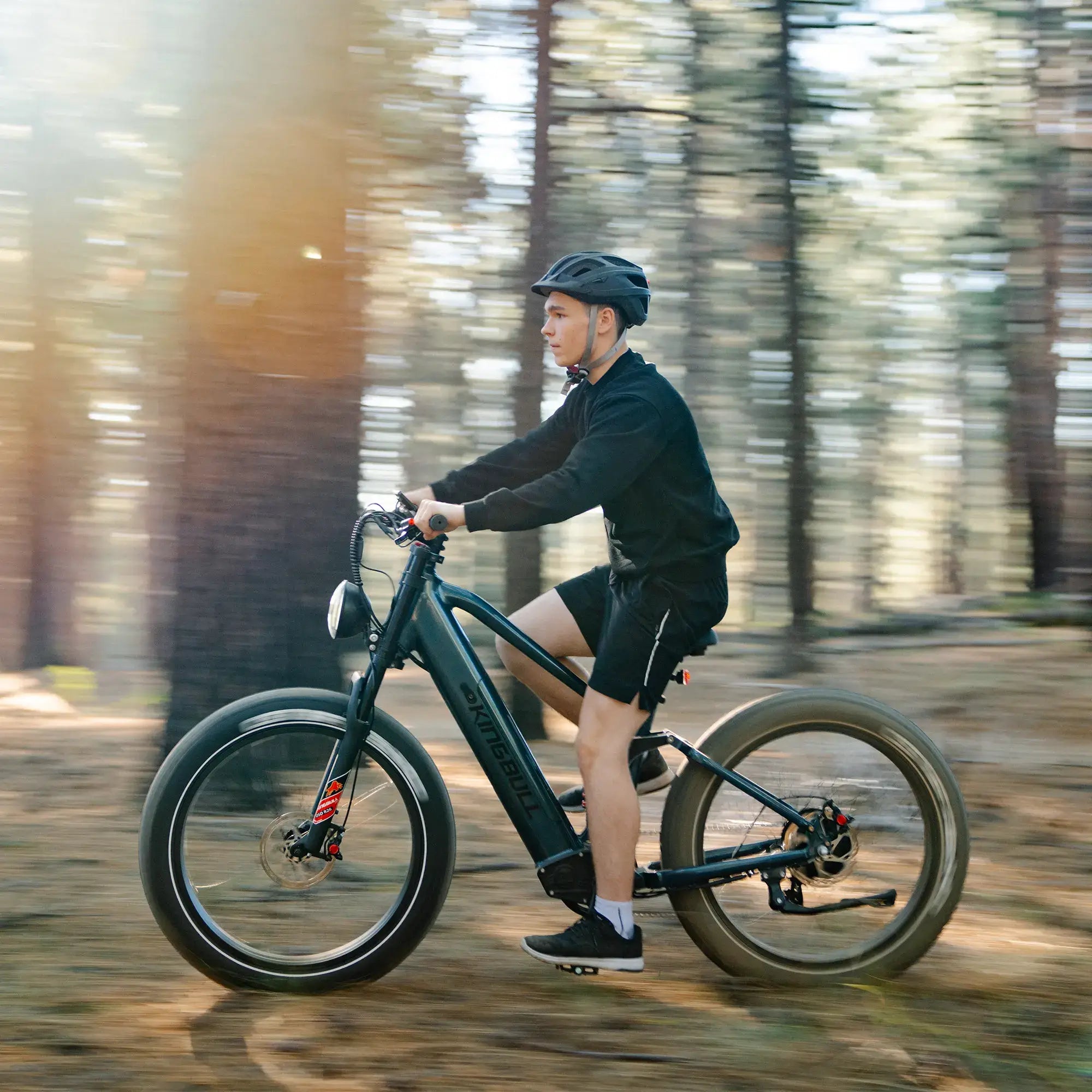 Pedod Rover 2.0 | All-Terrain Off-Road Electric Bike