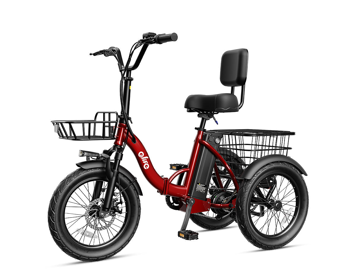 Triker 2.0 Folding 3 Wheels Electric Bike
