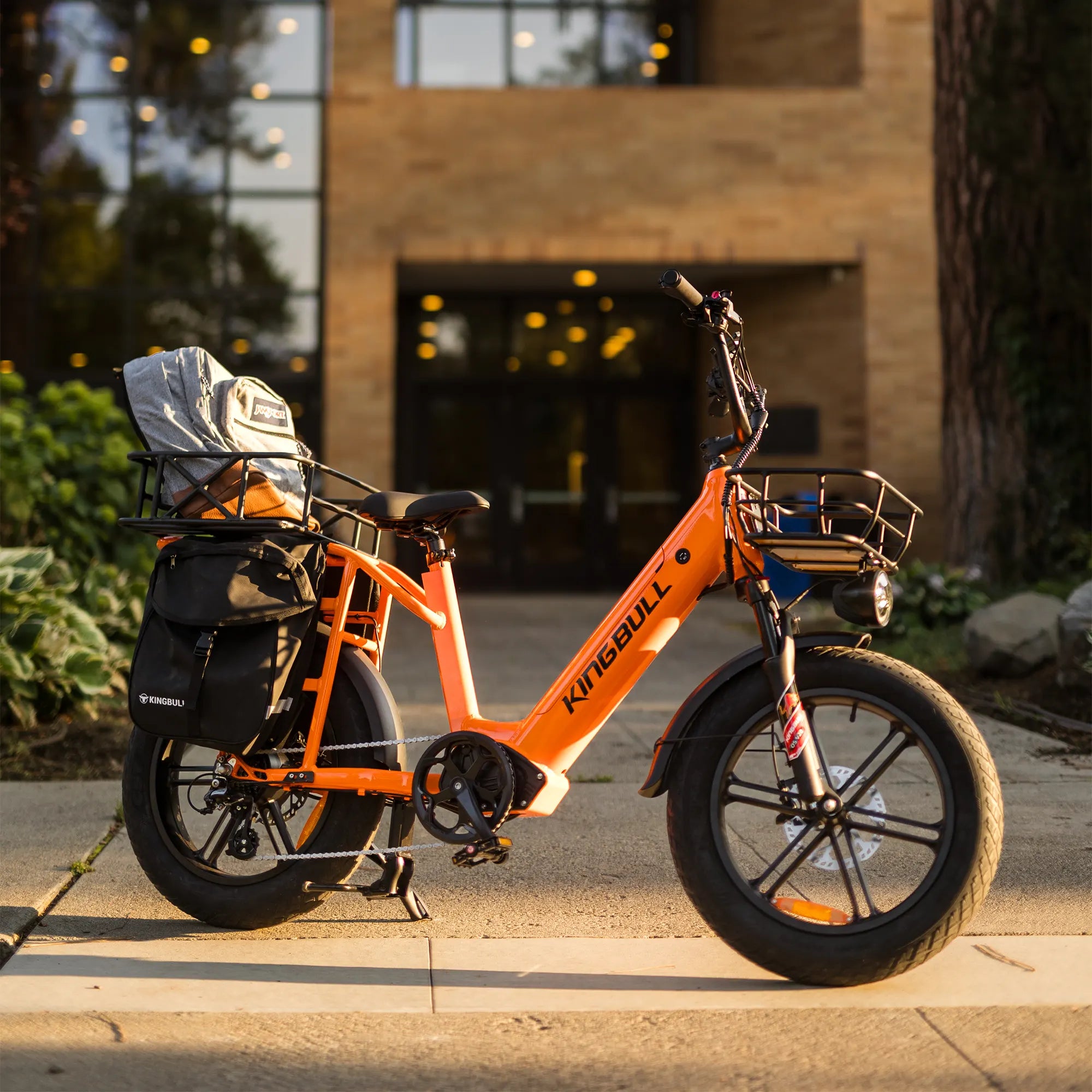 Pedod Voyager 2.0 | Fat Tire Electric Cargo Bike