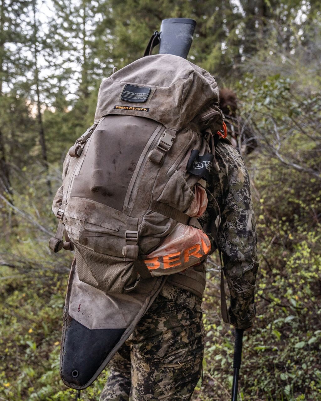 Team Elk