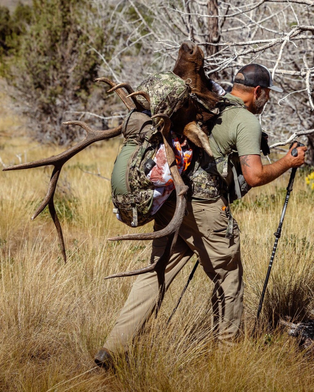 Team Elk