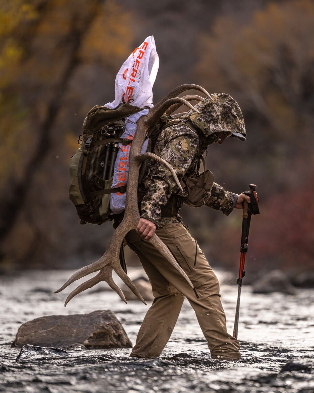 Team Elk